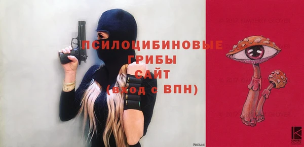 прущие грибы Гусь-Хрустальный