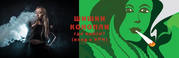 прущие грибы Гусь-Хрустальный