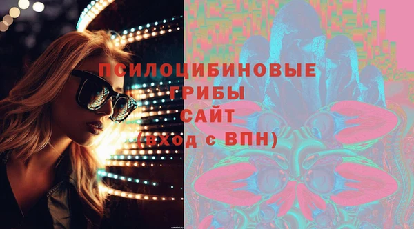 прущие грибы Гусь-Хрустальный