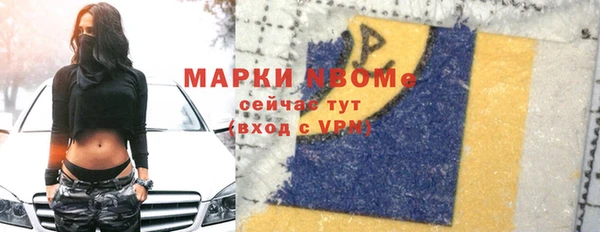 прущие грибы Гусь-Хрустальный
